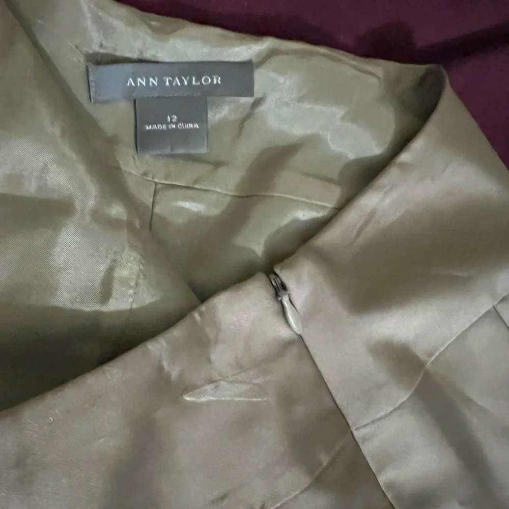 Ann Taylor Size 12 Oat Tan Brown Floral Lace Print Pleated Midi Skirt - Picture 3 of 7
